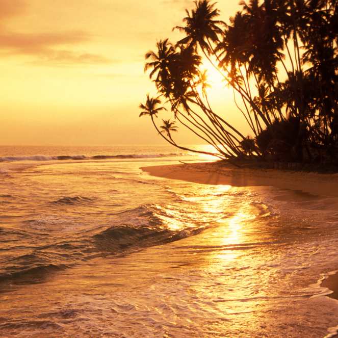 Add a subheading (10)