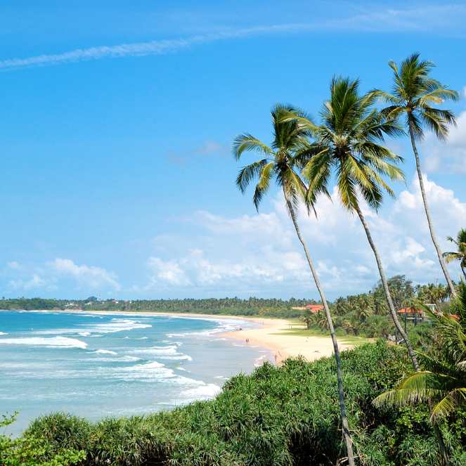 Add a subheading (9)