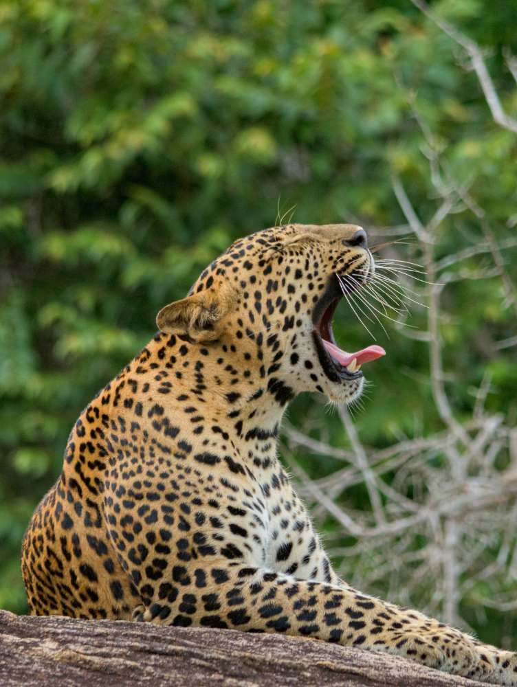 Untitled design (85)