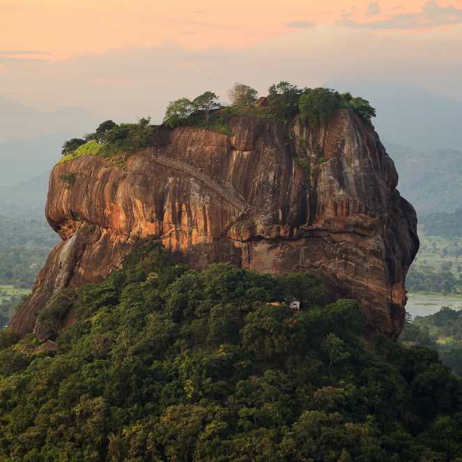 Untitled design (87)